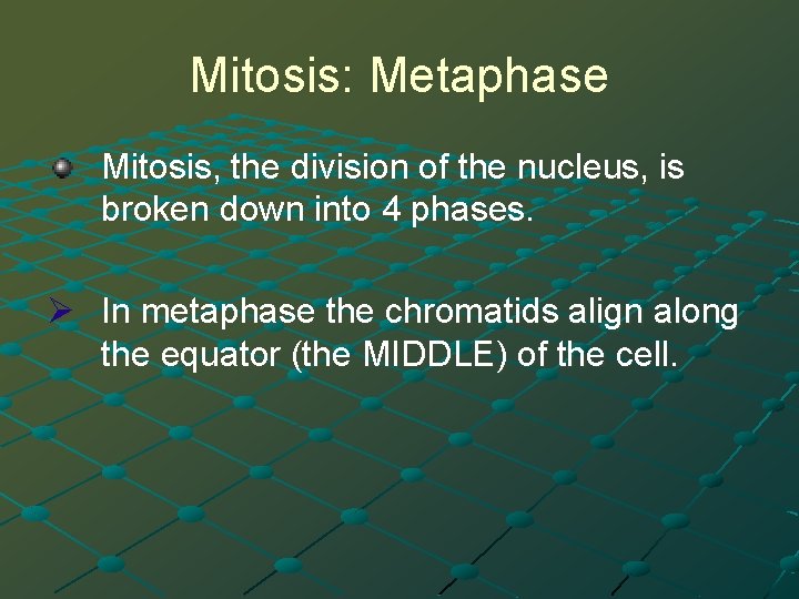 Mitosis: Metaphase Mitosis, the division of the nucleus, is broken down into 4 phases.