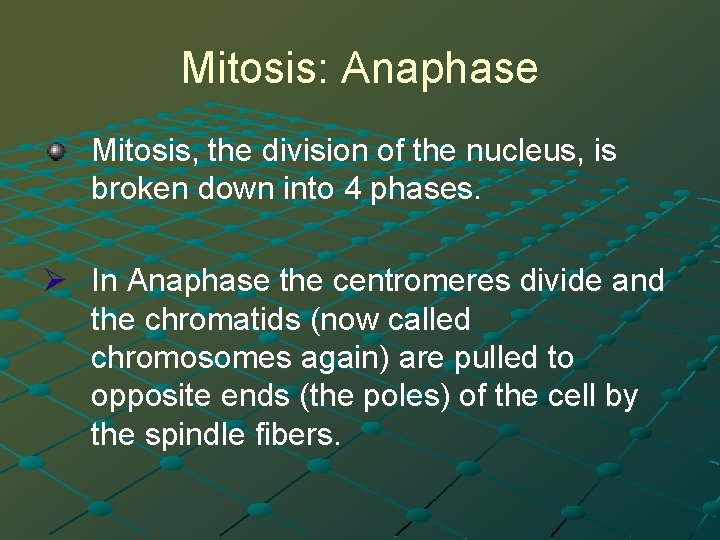 Mitosis: Anaphase Mitosis, the division of the nucleus, is broken down into 4 phases.