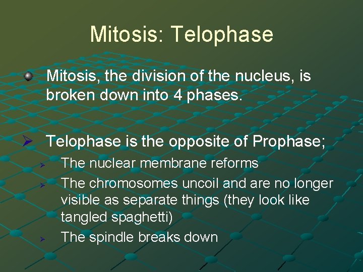Mitosis: Telophase Mitosis, the division of the nucleus, is broken down into 4 phases.