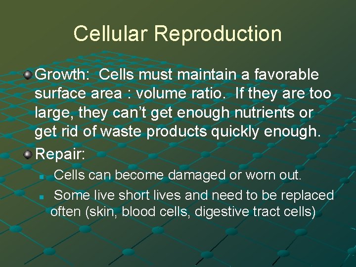 Cellular Reproduction Growth: Cells must maintain a favorable surface area : volume ratio. If