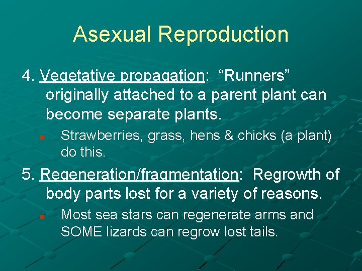 Asexual Reproduction 4. Vegetative propagation: “Runners” originally attached to a parent plant can become