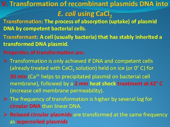 V. Transformation of recombinant plasmids DNA into E. coli using Ca. Cl 2 Transformation: