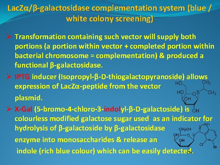 Lac. Zα/β-galactosidase complementation system (blue / white colony screening) Ø Transformation containing such vector