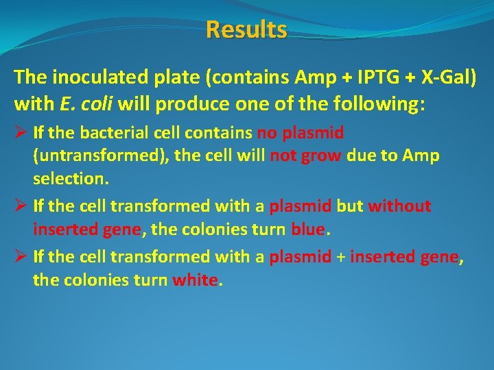 Results The inoculated plate (contains Amp + IPTG + X-Gal) with E. coli will