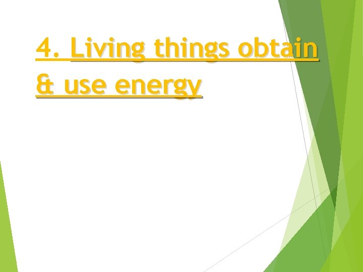 4. Living things obtain & use energy 