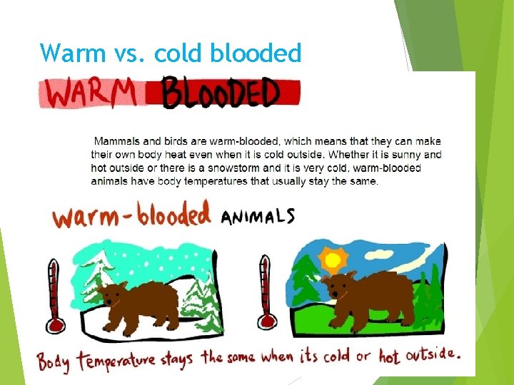 Warm vs. cold blooded 
