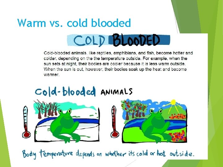 Warm vs. cold blooded 