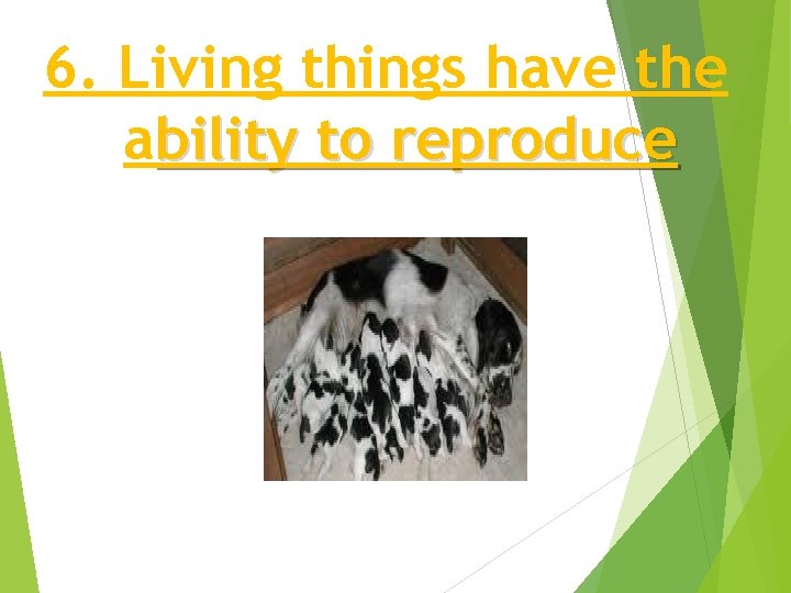 6. Living things have the ability to reproduce 