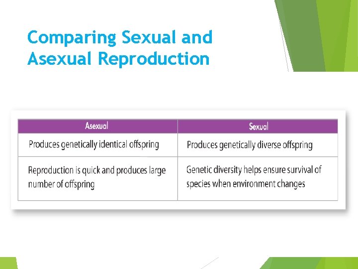 Comparing Sexual and Asexual Reproduction 