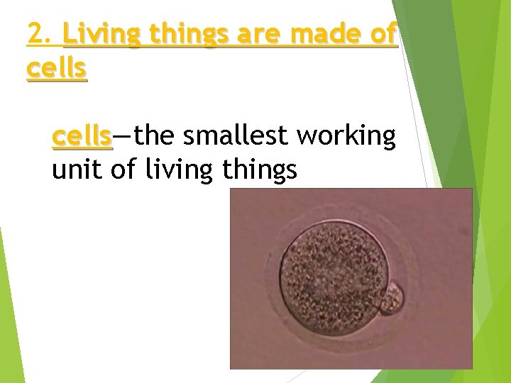 2. Living things are made of cells—the smallest working cells unit of living things