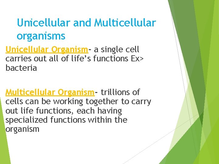 Unicellular and Multicellular organisms Unicellular Organism- a single cell carries out all of life’s