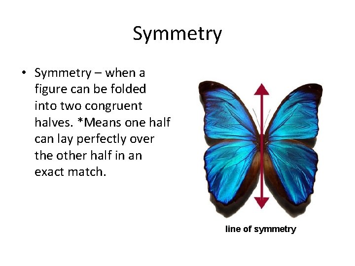 Symmetry • Symmetry – when a figure can be folded into two congruent halves.