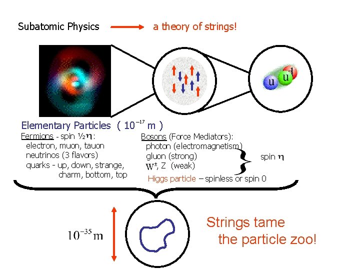 Subatomic Physics Elementary Particles ( 10 Fermions - spin ½ : electron, muon, tauon