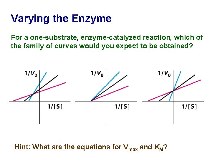 Varying the Enzyme For a one-substrate, enzyme-catalyzed reaction, which of the family of curves
