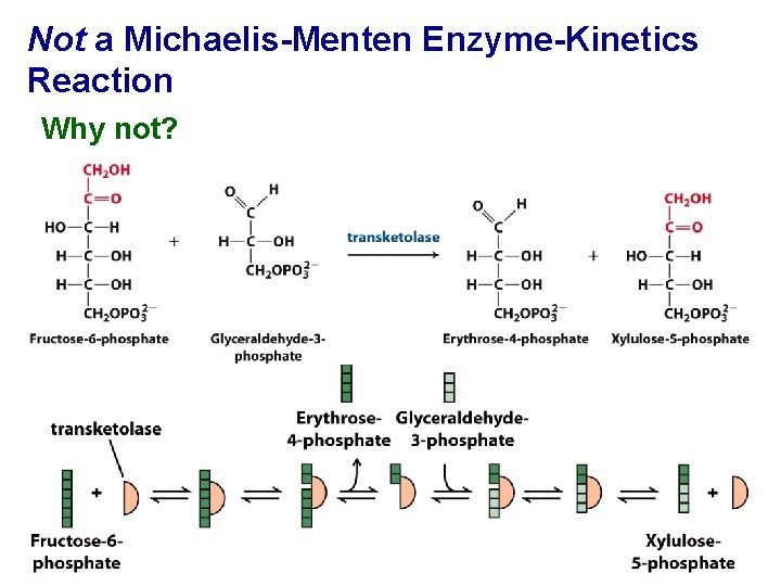 Not a Michaelis-Menten Enzyme-Kinetics Reaction Why not? 