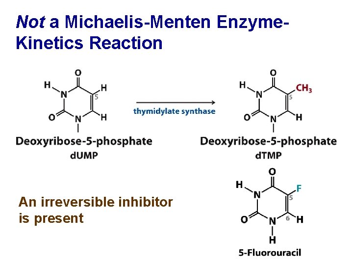 Not a Michaelis-Menten Enzyme. Kinetics Reaction An irreversible inhibitor is present 