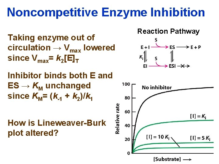 Noncompetitive Enzyme Inhibition Taking enzyme out of circulation → Vmax lowered since Vmax= k