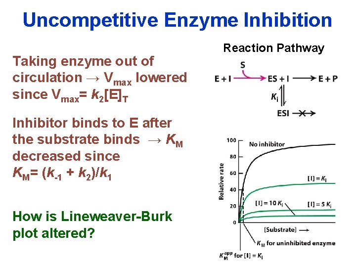 Uncompetitive Enzyme Inhibition Taking enzyme out of circulation → Vmax lowered since Vmax= k