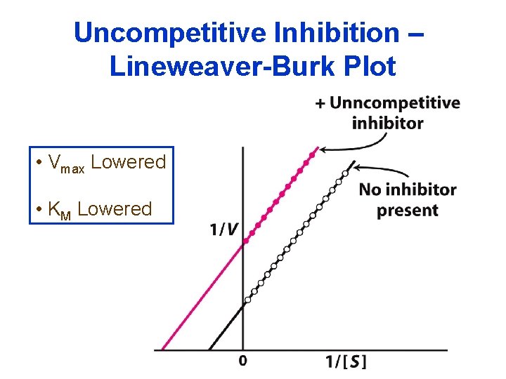 Uncompetitive Inhibition – Lineweaver-Burk Plot • Vmax Lowered • KM Lowered 