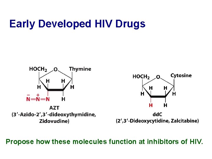 Early Developed HIV Drugs Propose how these molecules function at inhibitors of HIV. 