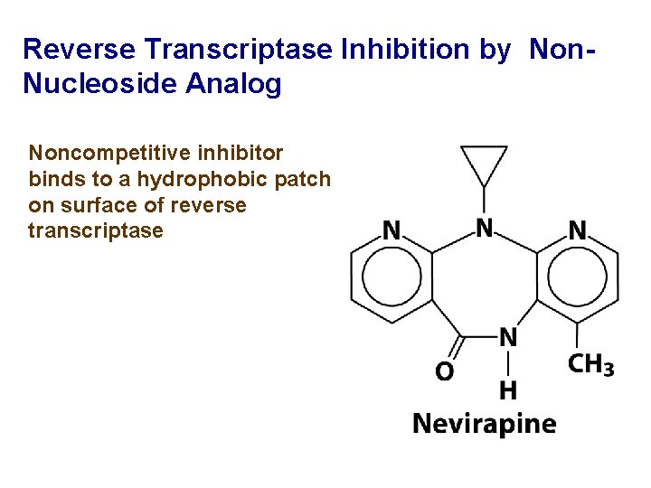 Reverse Transcriptase Inhibition by Non. Nucleoside Analog Noncompetitive inhibitor binds to a hydrophobic patch