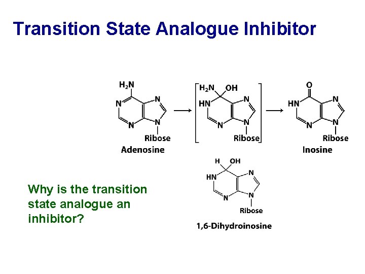 Transition State Analogue Inhibitor Why is the transition state analogue an inhibitor? 