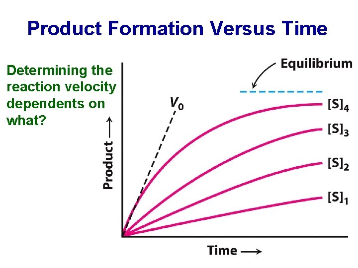 Product Formation Versus Time Determining the reaction velocity dependents on what? 