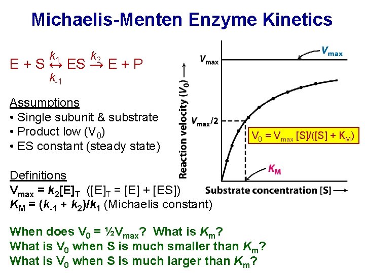 Michaelis-Menten Enzyme Kinetics k 1 k 2 E + S ↔ ES → E