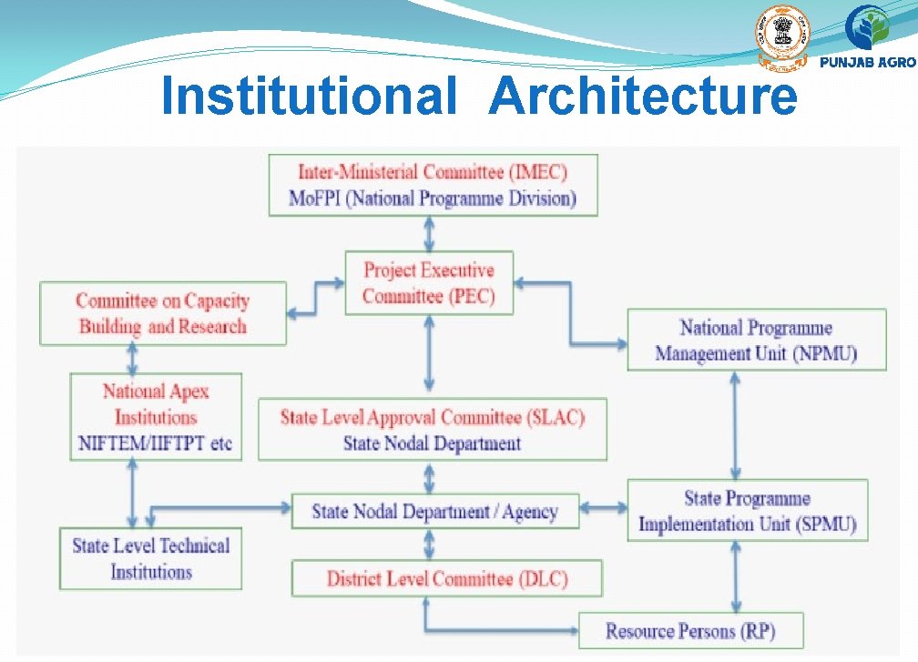 Institutional Architecture 