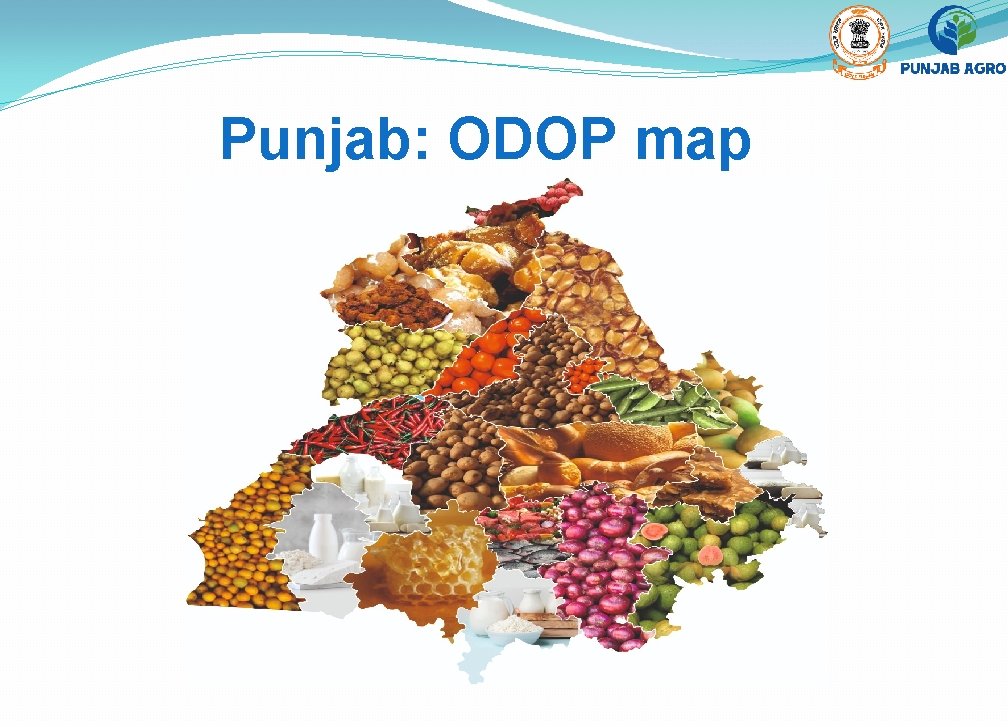 Punjab: ODOP map 