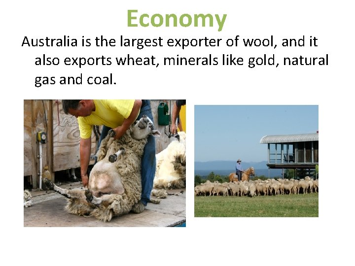 Economy Australia is the largest exporter of wool, and it also exports wheat, minerals