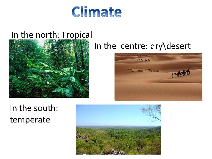 In the north: Tropical In the south: temperate In the centre: drydesert 