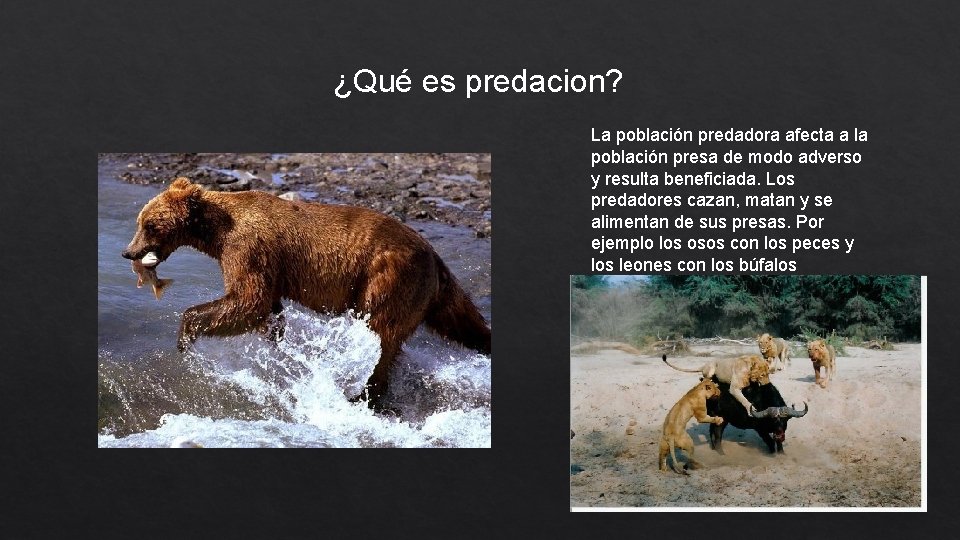 ¿Qué es predacion? La población predadora afecta a la población presa de modo adverso