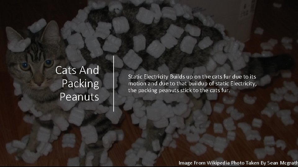 Cats And Packing Peanuts Static Electricity Builds up on the cats fur due to