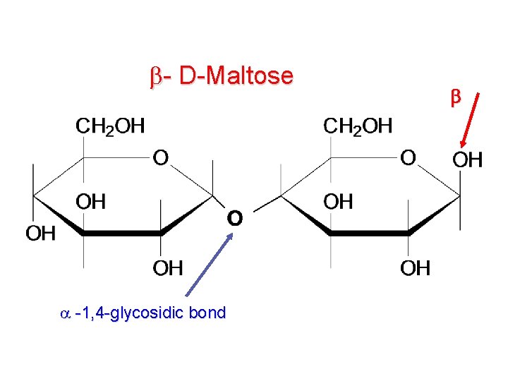 - D-Maltose -1, 4 -glycosidic bond - D-Maltose -1, 4 -glycosidic bond