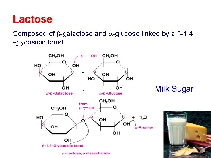 Lactose Composed of -galactose and -glucose linked by a -1, 4 -glycosidic bond. Milk Lactose Composed of -galactose and -glucose linked by a -1, 4 -glycosidic bond. Milk