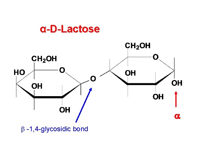 α-D-Lactose -1, 4 -glycosidic bond α-D-Lactose -1, 4 -glycosidic bond