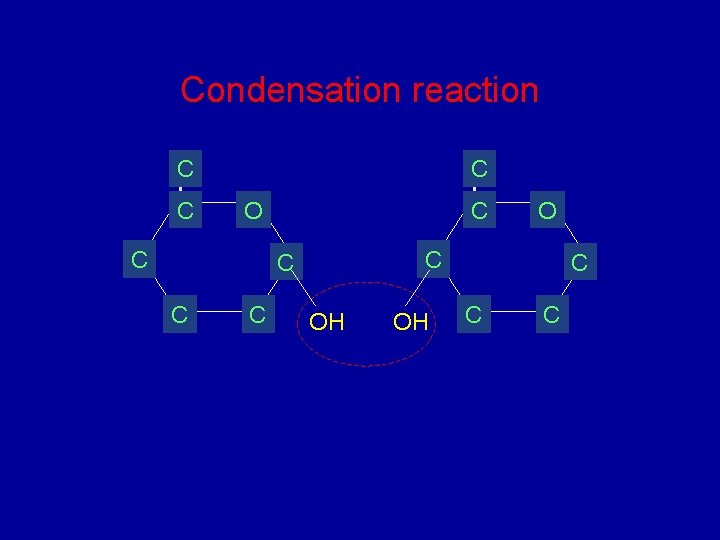 Condensation reaction C C C O OH OH C C C Condensation reaction C C C O OH OH C C C