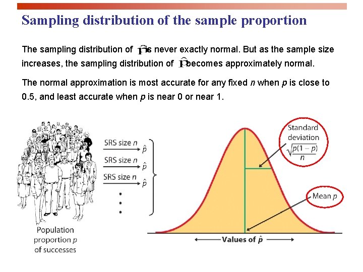 Sampling distribution of the sample proportion The sampling distribution of is never exactly normal.