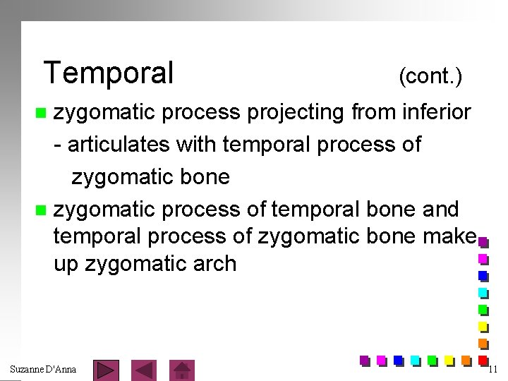 Temporal (cont. ) zygomatic process projecting from inferior - articulates with temporal process of
