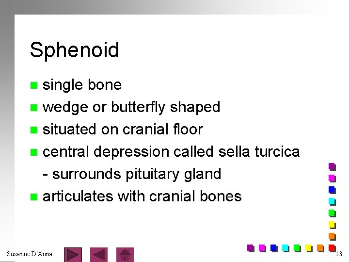 Sphenoid single bone n wedge or butterfly shaped n situated on cranial floor n