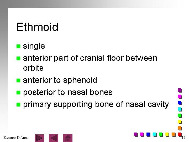 Ethmoid single n anterior part of cranial floor between orbits n anterior to sphenoid