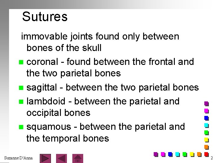 Sutures immovable joints found only between bones of the skull n coronal - found