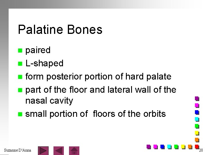 Palatine Bones paired n L-shaped n form posterior portion of hard palate n part