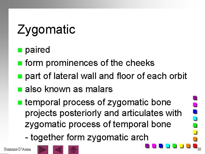 Zygomatic paired n form prominences of the cheeks n part of lateral wall and