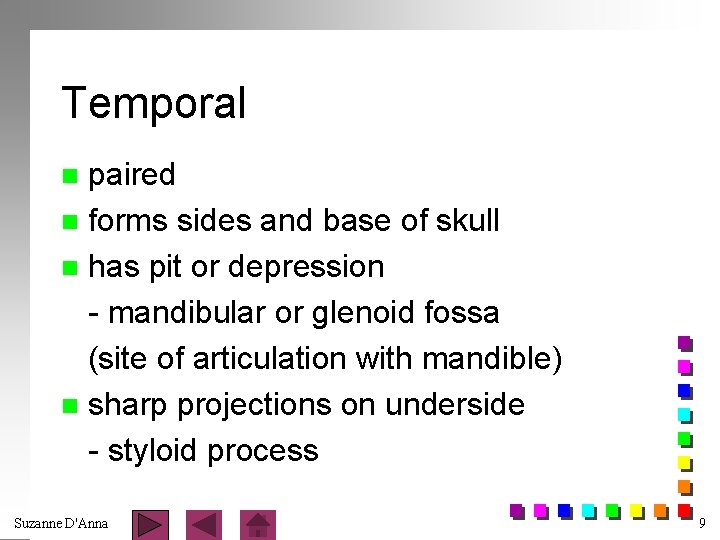 Temporal paired n forms sides and base of skull n has pit or depression