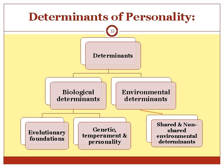 Determinants of Personality: 12 Determinants Biological determinants Evolutionary foundations Environmental determinants Genetic, temperament &