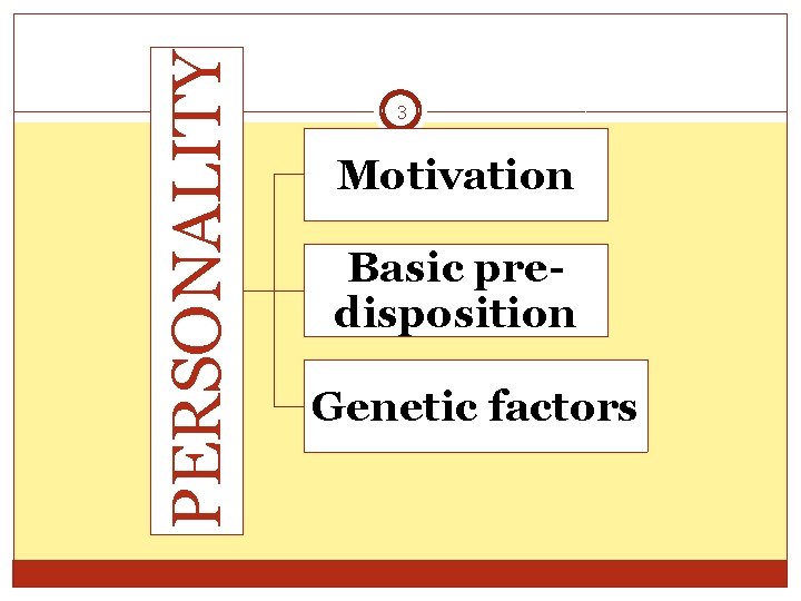 PERSONALITY 3 Motivation Basic predisposition Genetic factors 