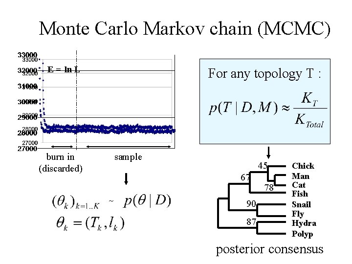 Monte Carlo Markov chain (MCMC) E =-ln L For any topology T : burn