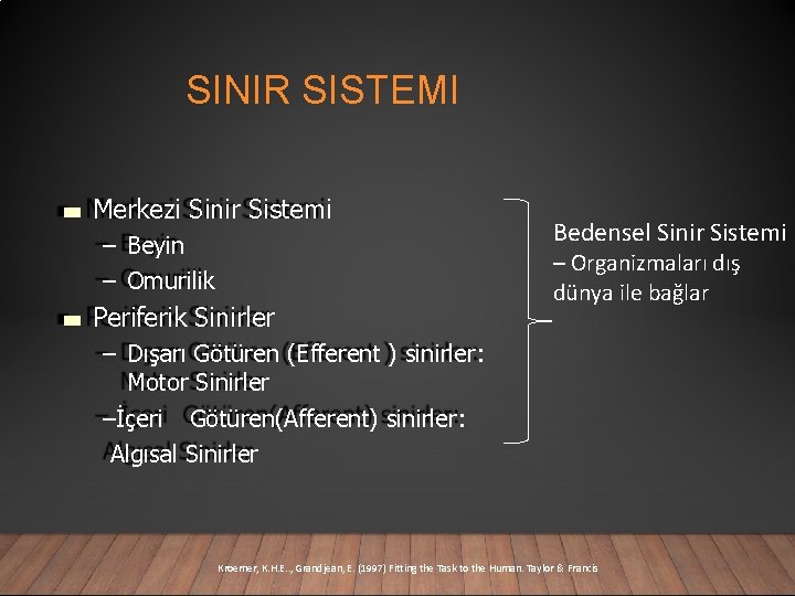 SINIR SISTEMI Merkezi Sinir Sistemi – Beyin – Omurilik Periferik Sinirler Bedensel Sinir Sistemi